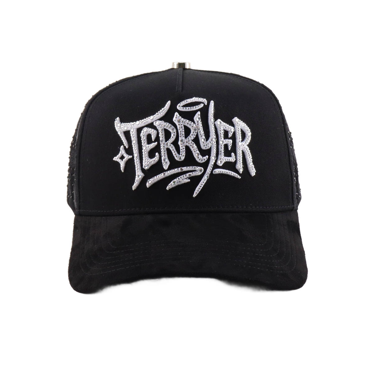 Black Ice Terryer
